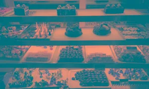 Kesariya's - Cover photo