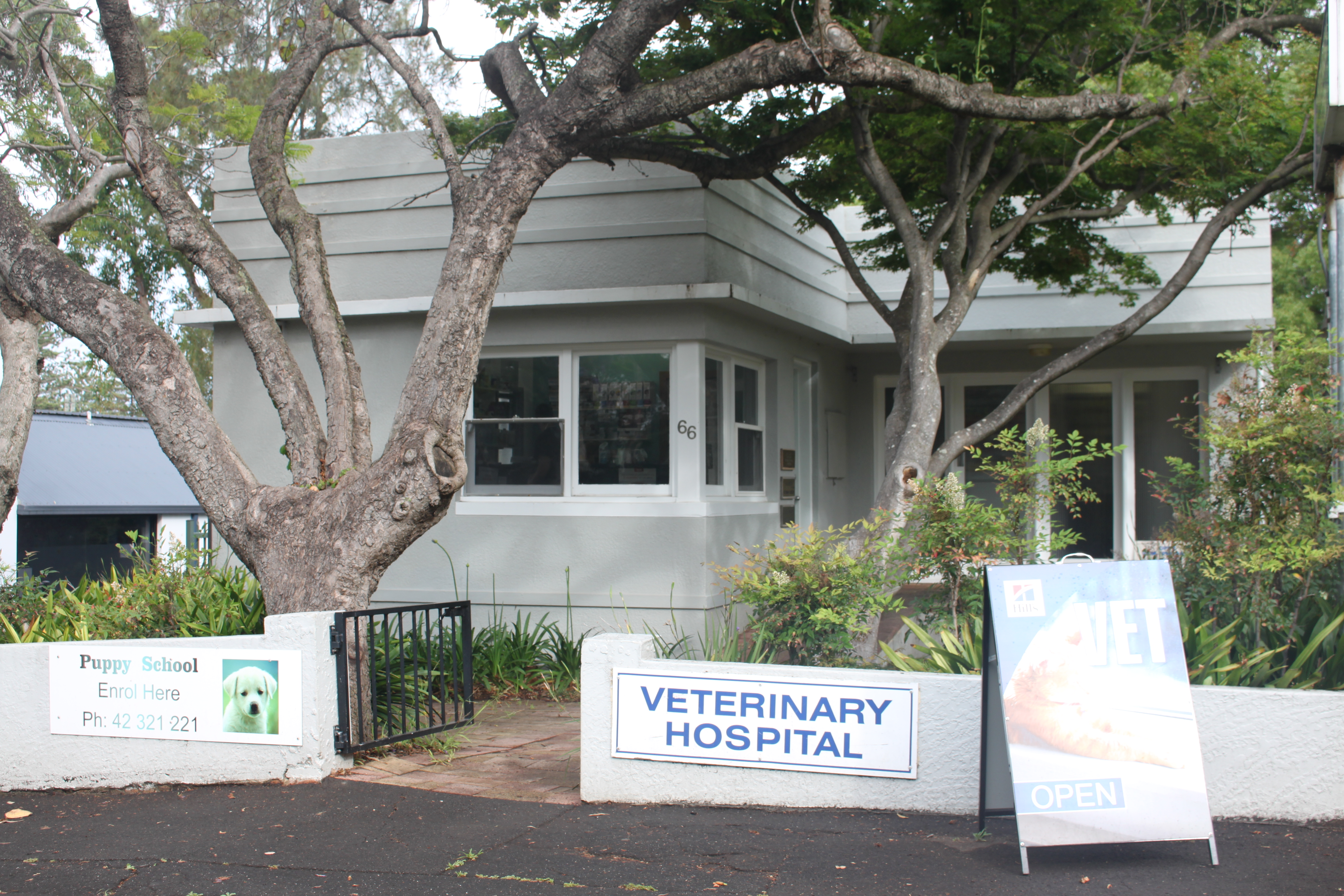 Kiama Veterinary Hospital - Cover photo