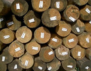 Kincumber Sand & Soil - Logo