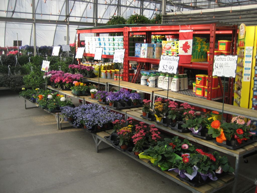 Kingsway Greenhouse - Logo