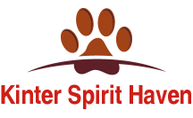 Kinter Spirit Haven - Logo