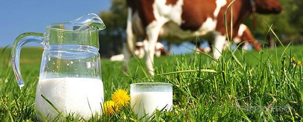 Kisan Dairy - Cover photo