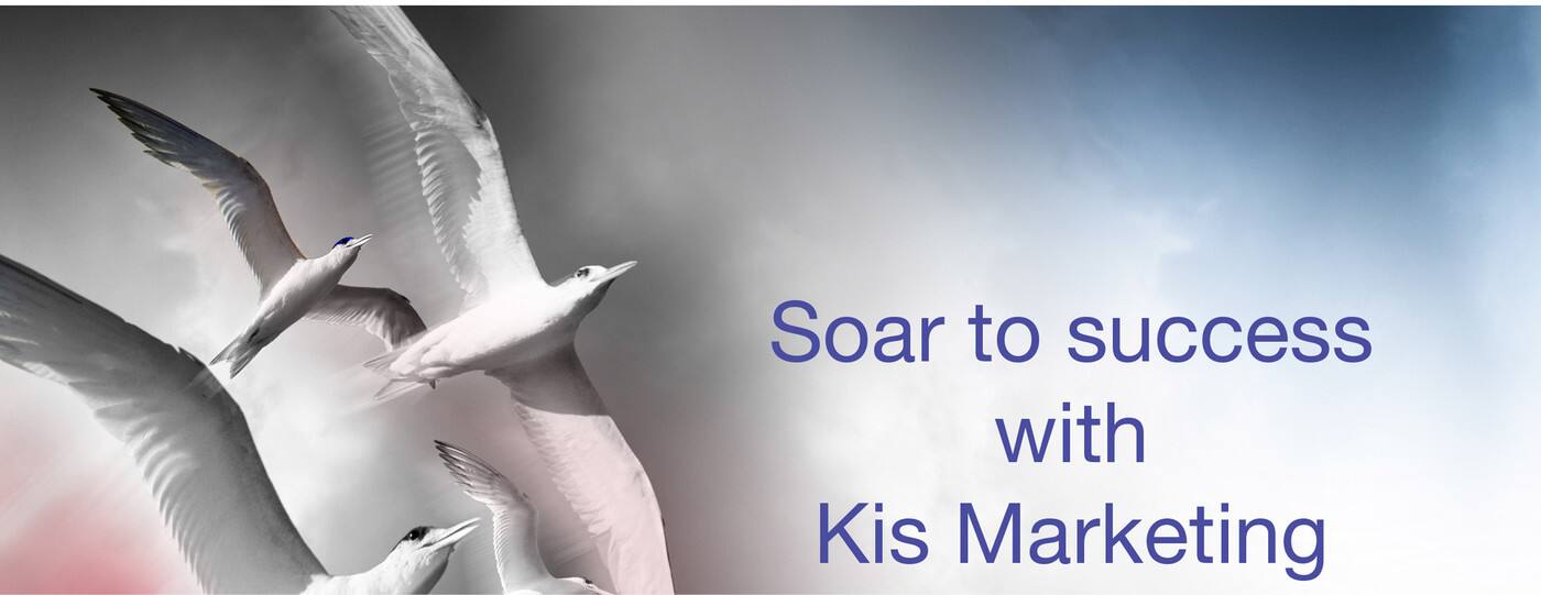 Kis Marketing - Logo