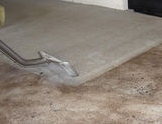 Kitchener Carpet Cleaners - Cover photo