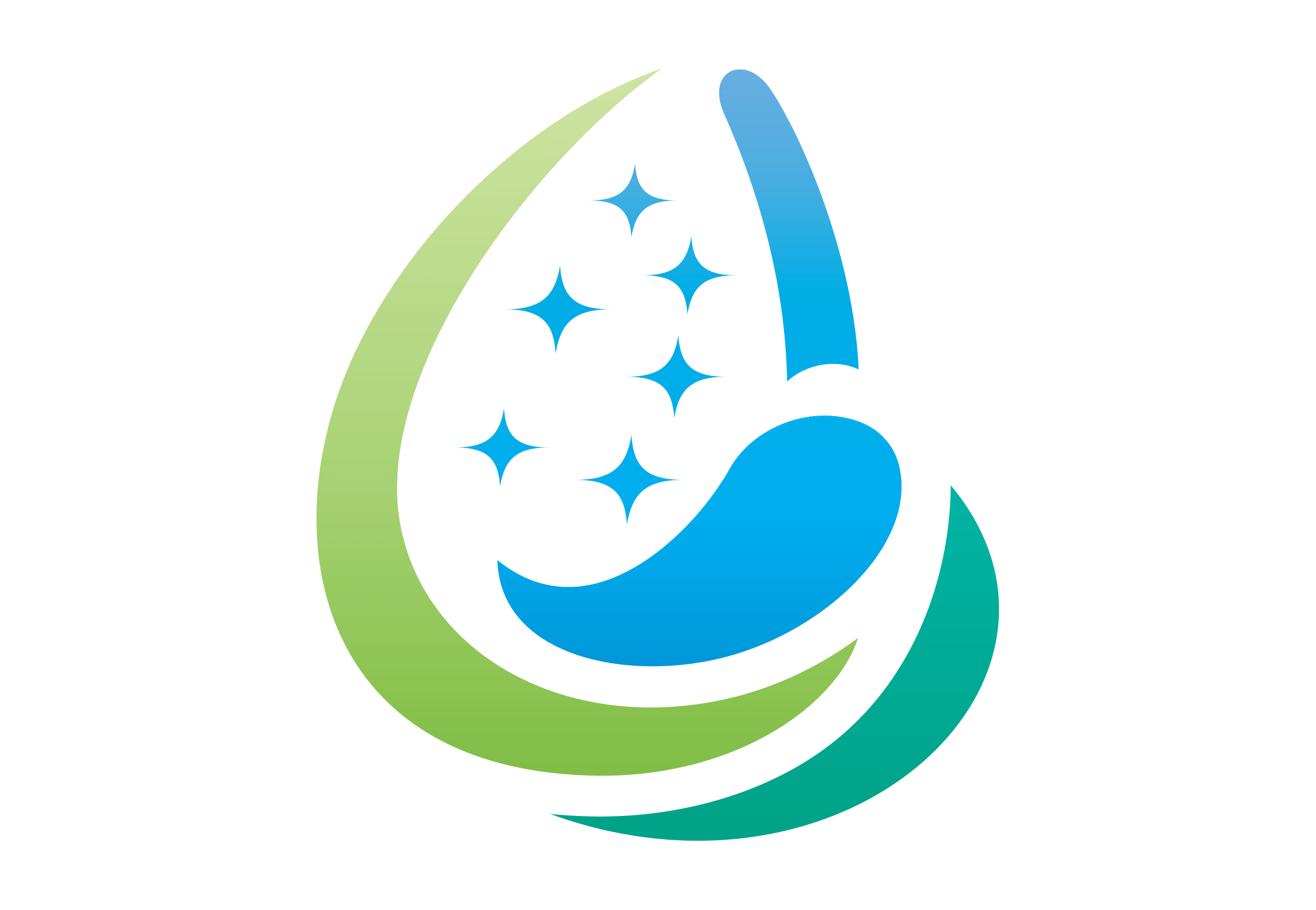 Kleen Springs Pressure Washing & Roof Cleaning - Logo