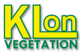 Klon Services Ltd - Logo