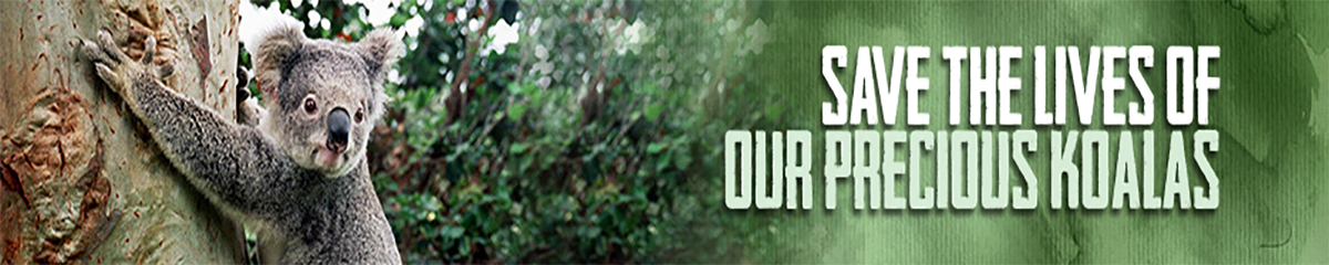 Koala Hospital - Logo