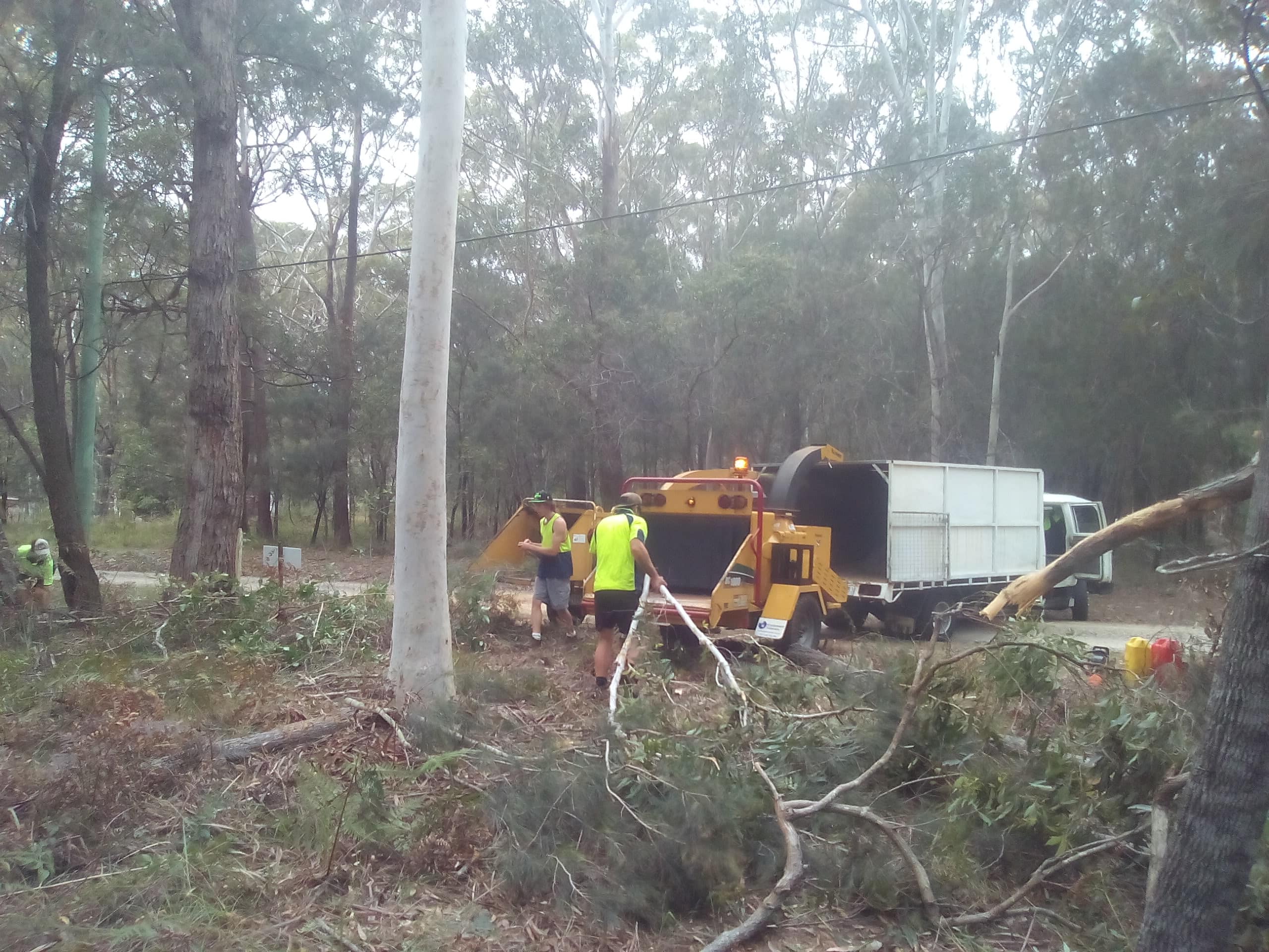 KRC Tree Removals - Cover photo