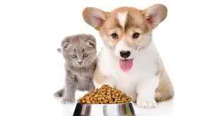 Ks Pet Shop - Cover photo