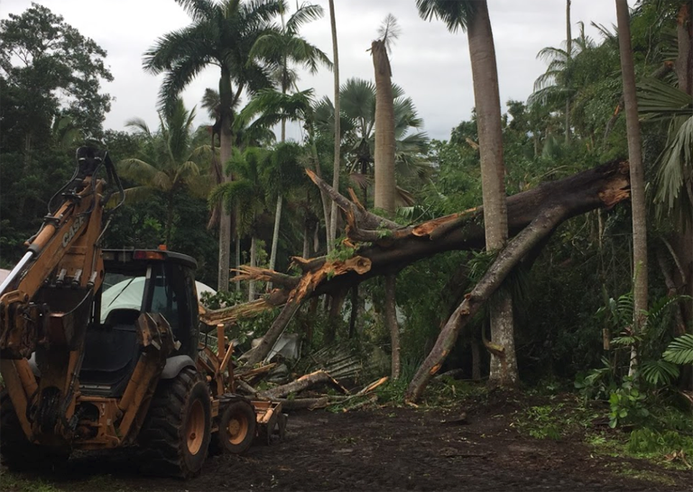 Kuranda Backhoe Hire - Cover photo