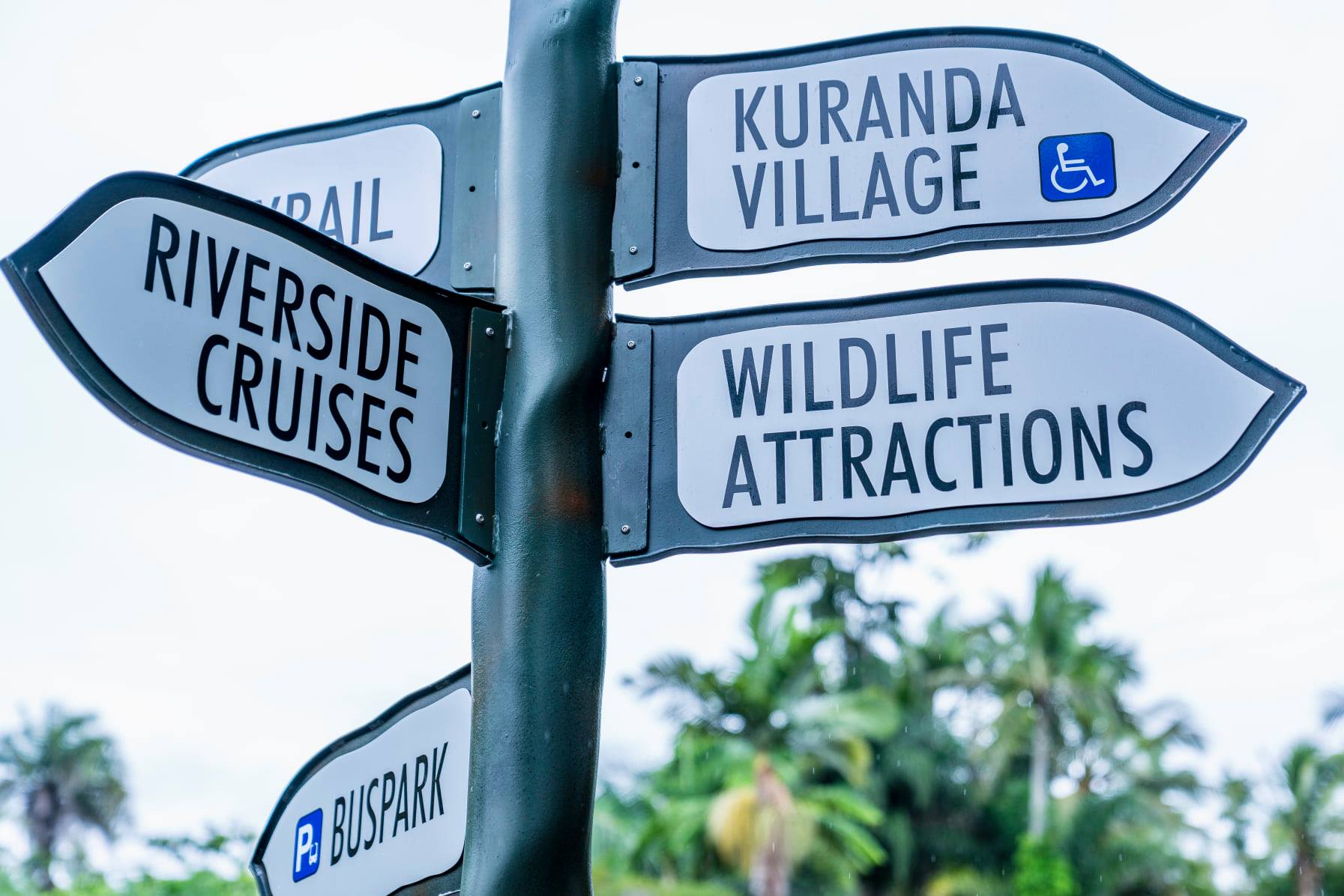 Kuranda Koala Gardens - Logo