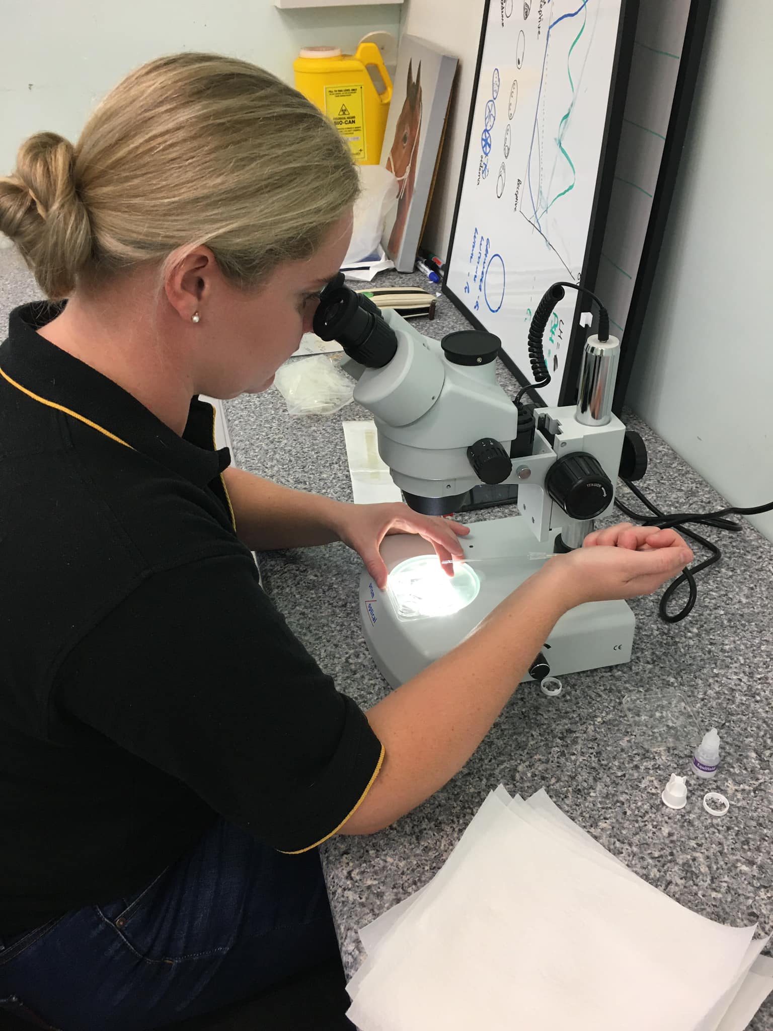 Kuranda Veterinary Surgery - Cover photo