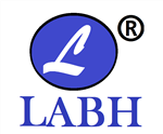 Labh Software - Logo