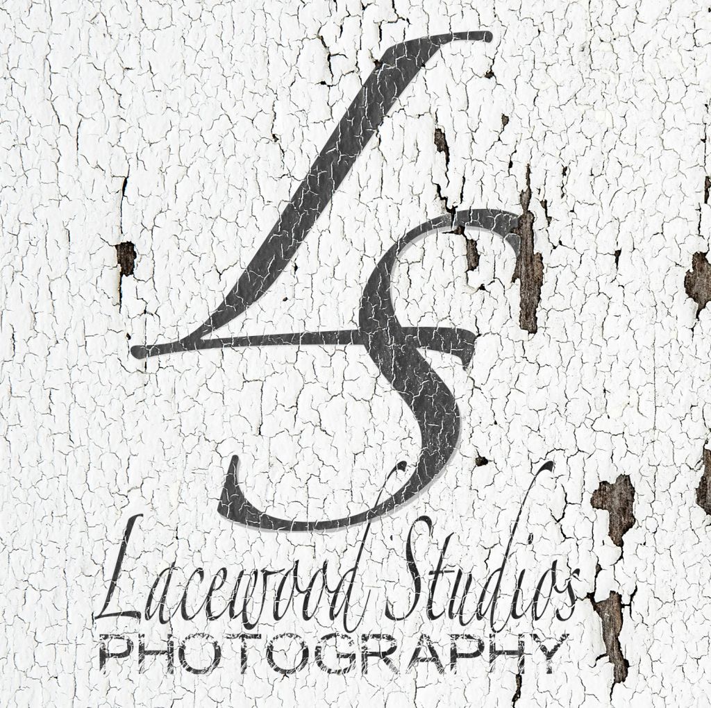 Lacewood Studios Photography - Logo