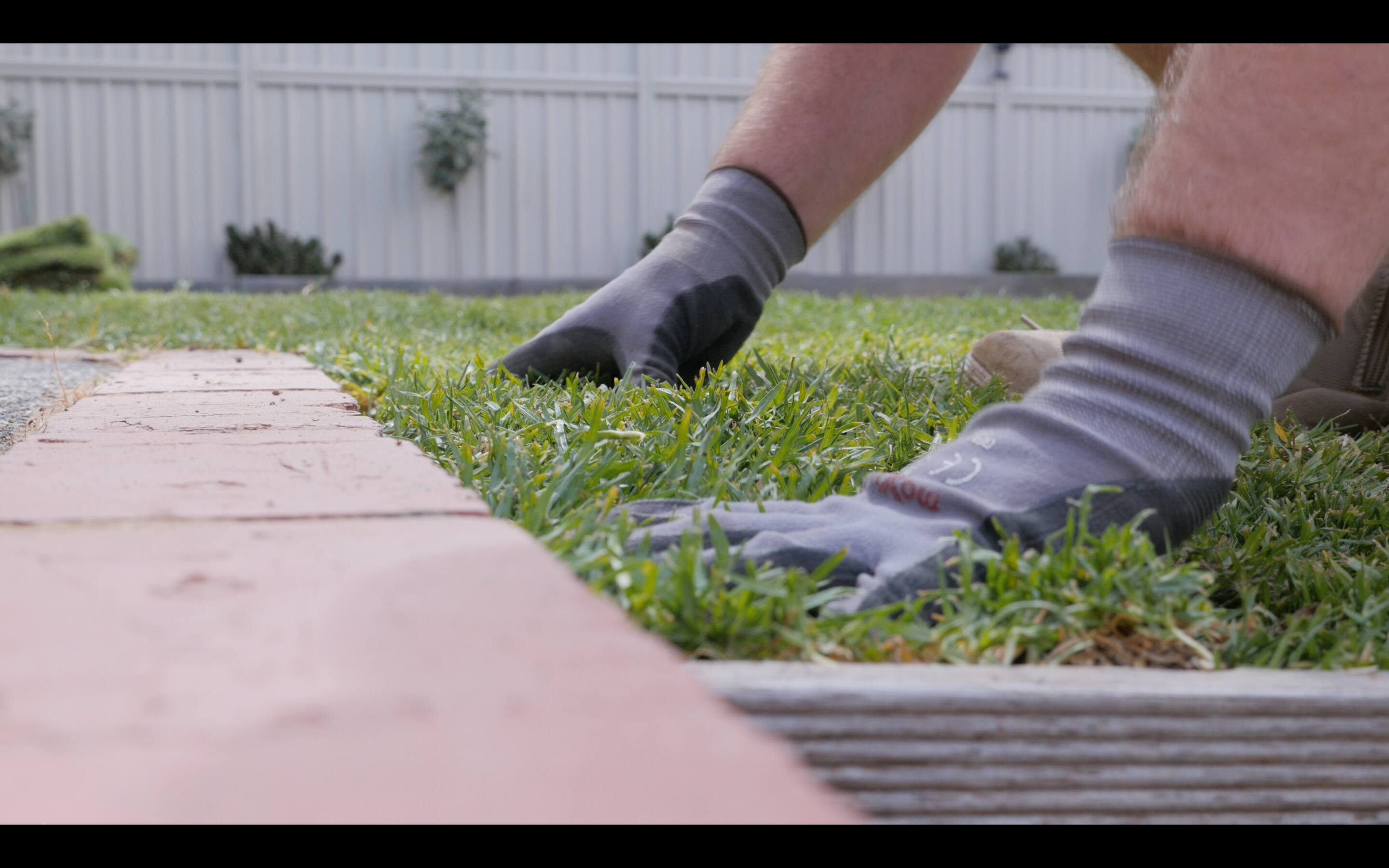 Lachlans Lawns - Logo