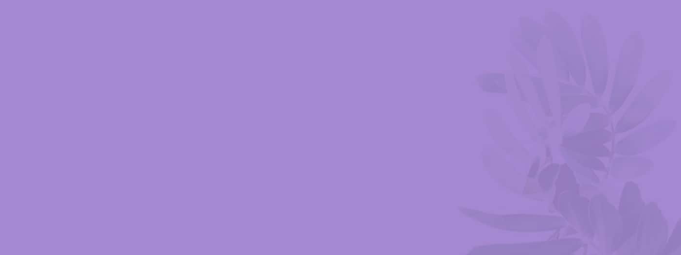 Lady Anne Funerals - Logo