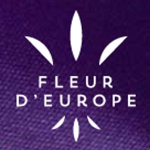 La Fleuriste Fleur D&s;europe Inc - Logo
