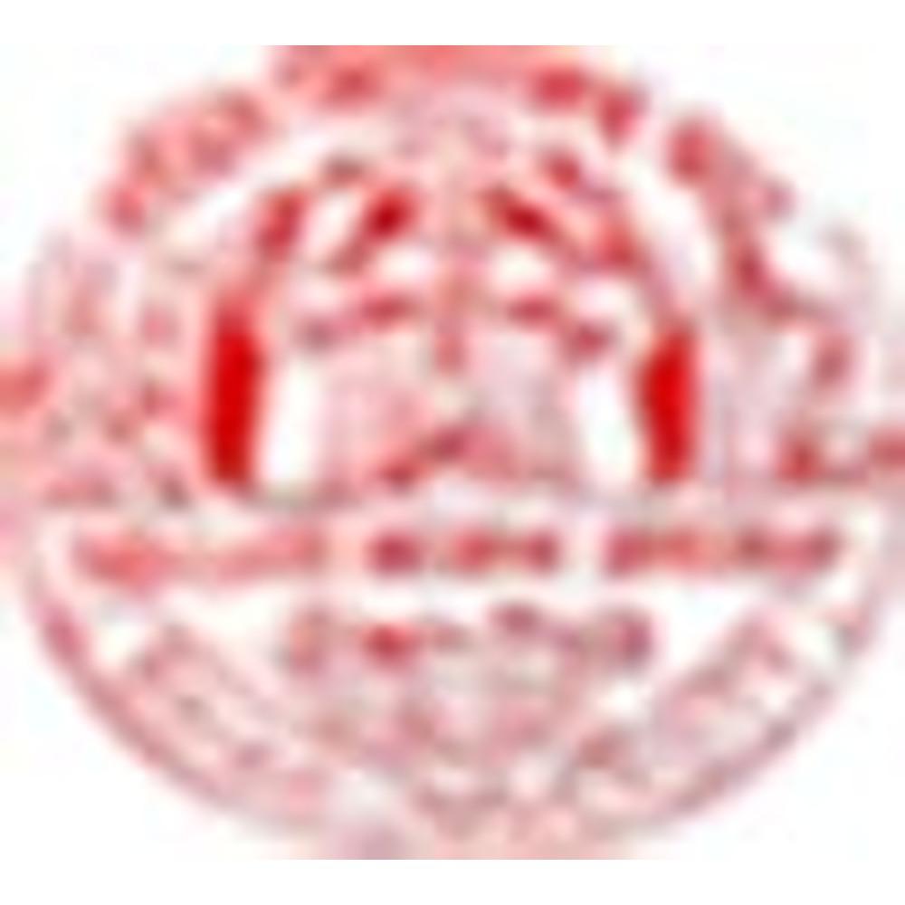 Lakshmi Narayan College (LNC) - Logo