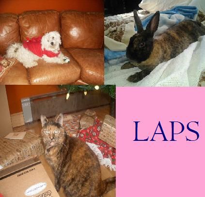 LAPS (Love &a; Attention Pet Sitting) By Samantha - Logo