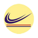 Laser Automation Pvt Ltd - Logo