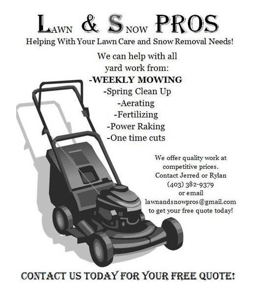 L &a; S Pros - Logo