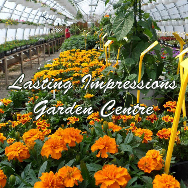 Lasting Impressions Garden Centre Inc. - Cover photo
