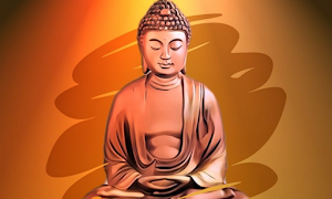 Lavida Wellness & Spa - Logo
