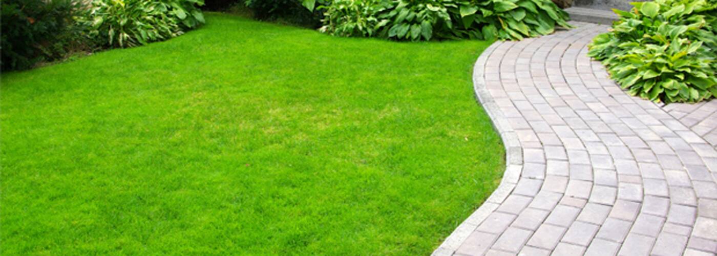Lawns by Bruce - Mowing and Gardening Services - Logo