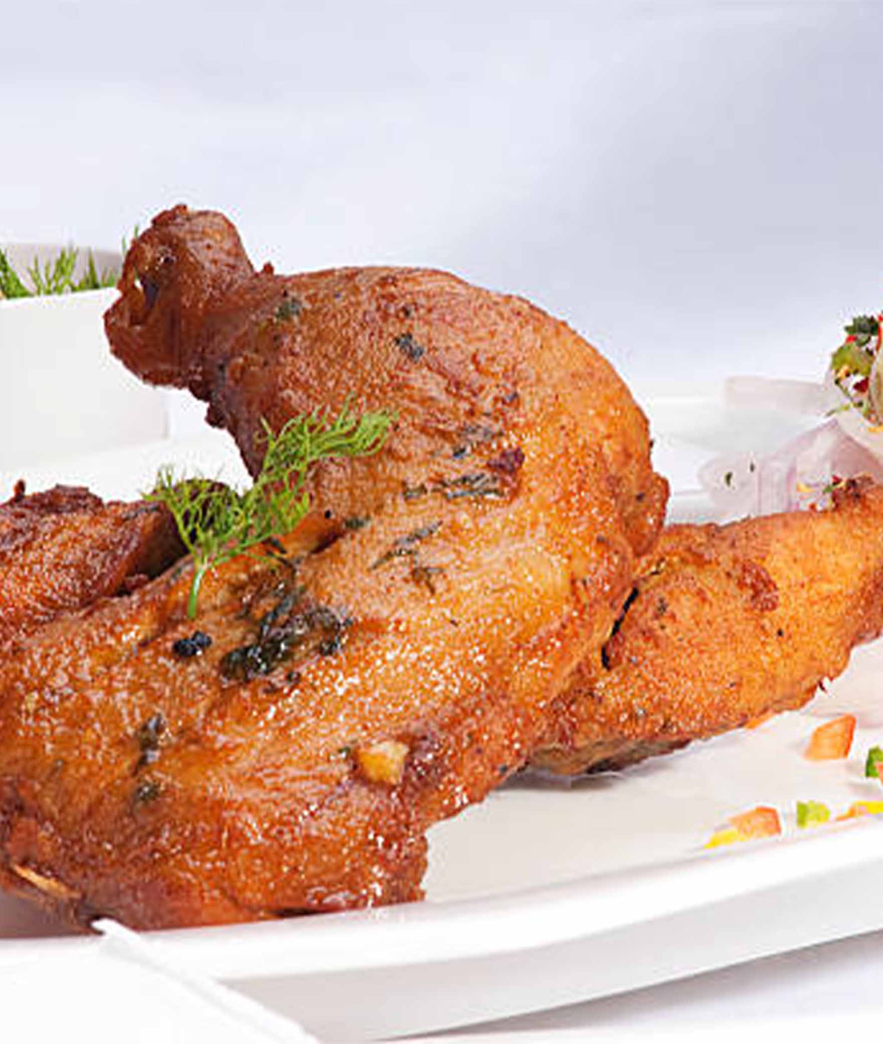 LAZIZ FOODS - Logo