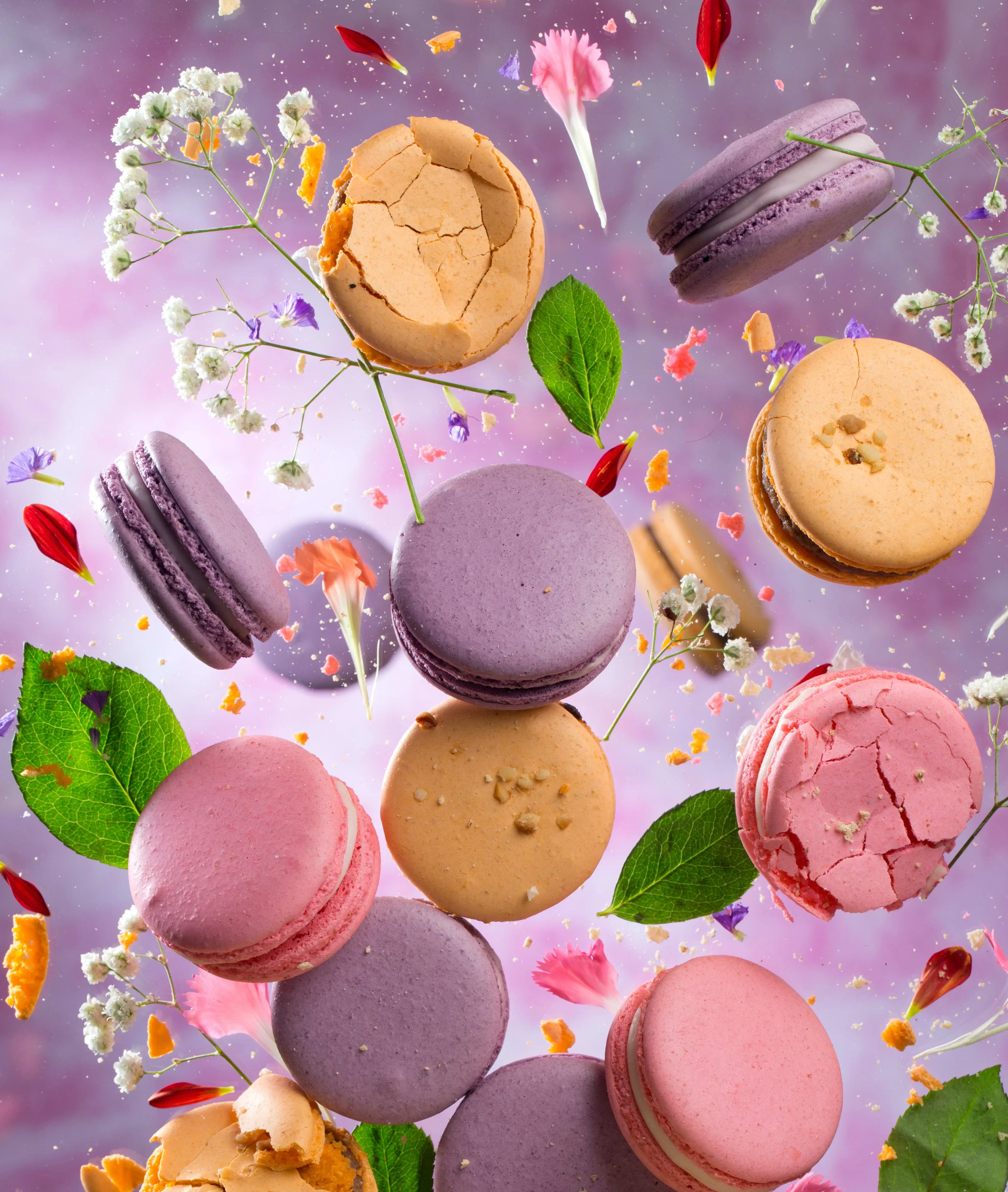 Le15 Patisserie - Logo