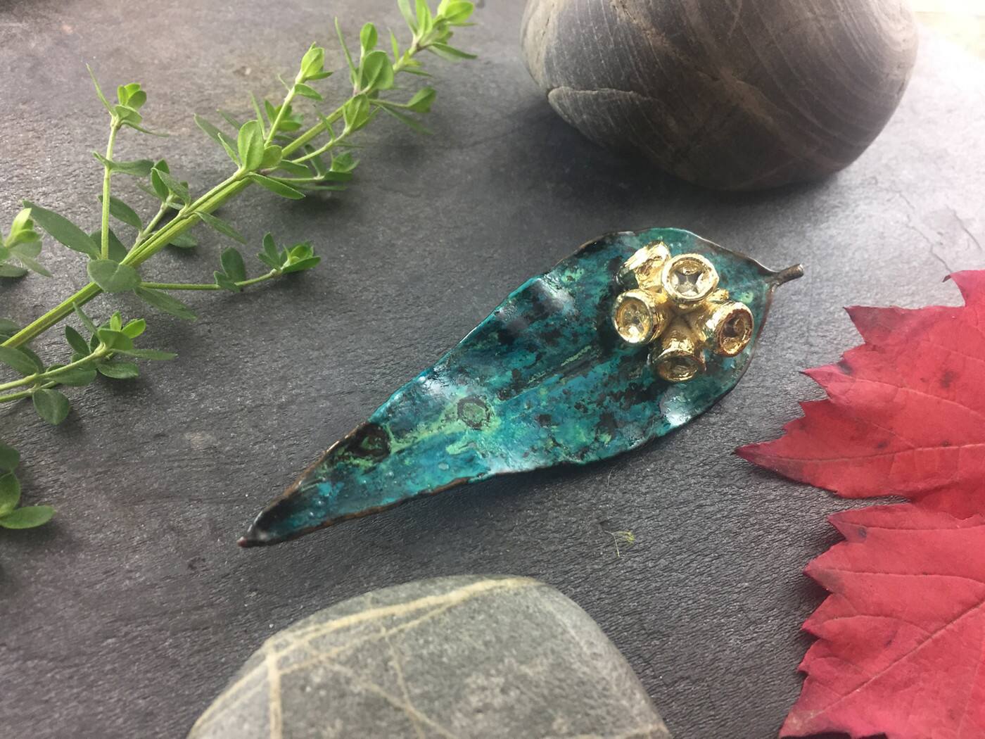 Leaf Seed Pod Shell - Cover photo