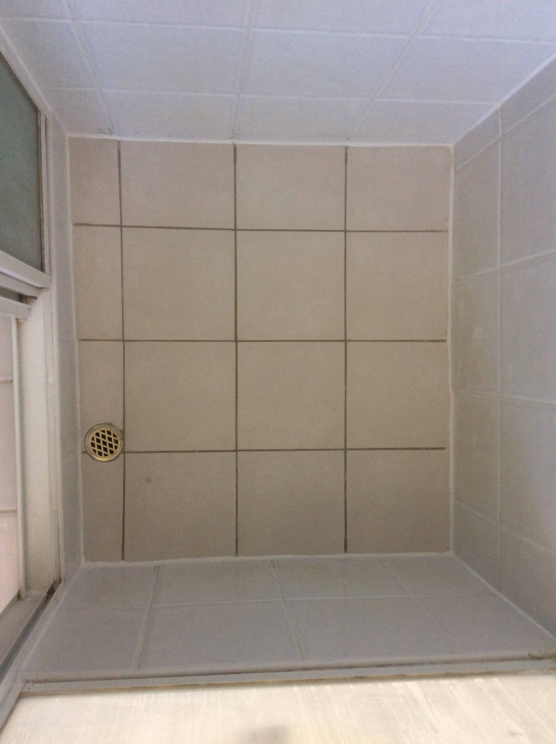 Leaking Showers Sealed - Logo