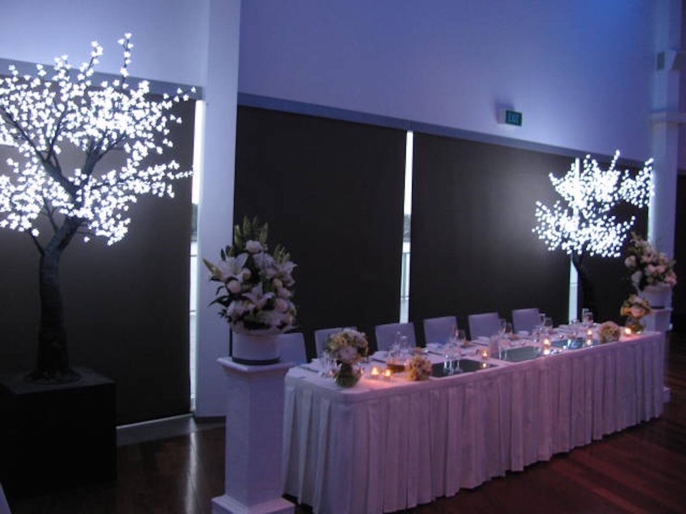 LED Tree Hire - Logo