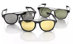 Lee Opticals - Logo