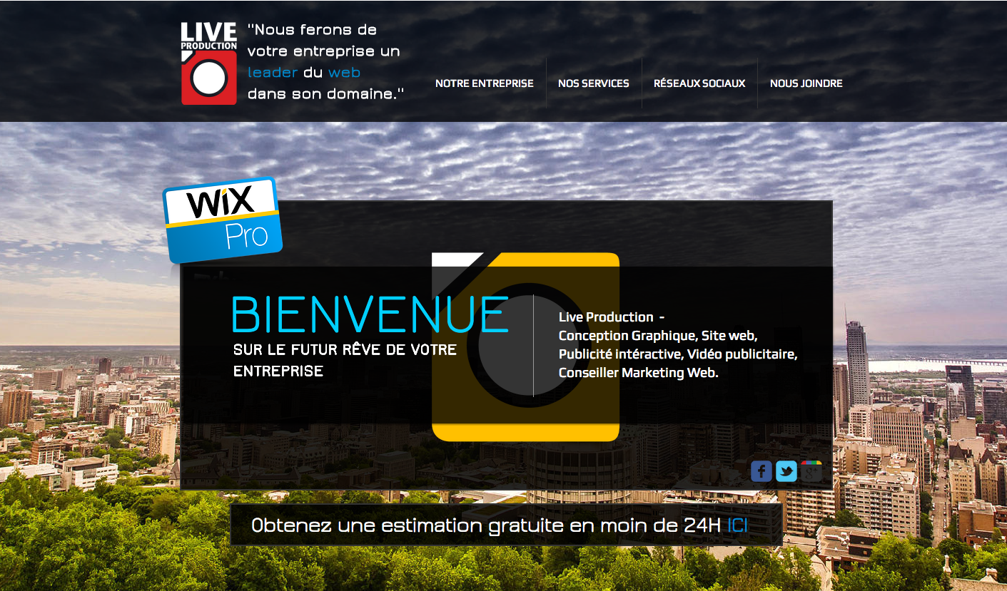 Le Niveau D&s;Or - Logo