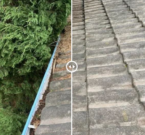 Leonard Gray Roof Tiling - Logo