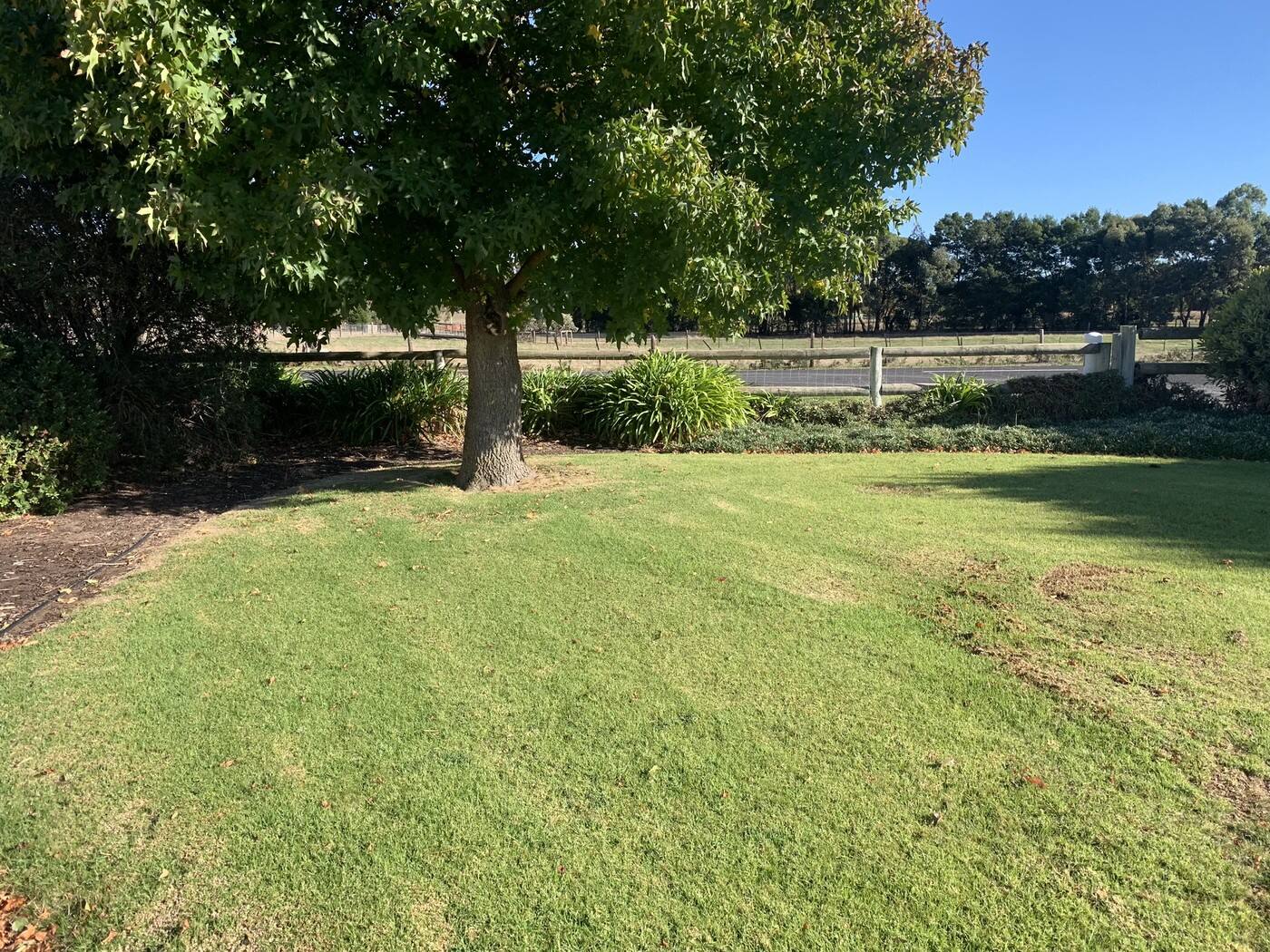 Leroy's (SA) - Cover photo