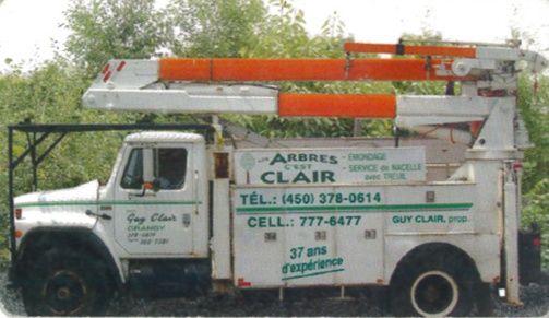 Les Arbres C&s;est Clair Inc - Logo
