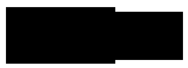 Les Assurances Louis Bérard Inc - Logo