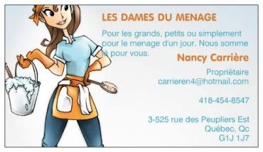 Les Dames du Ménage - Logo