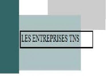 Les Entreprises T.N.S. - Logo