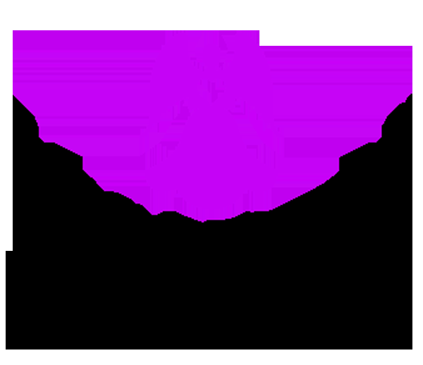 Les Petits Anges Enchantés Milieu Familial - Logo