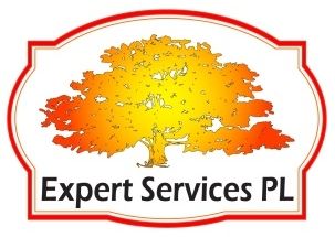 Les Services d&s;Experts PL - Logo