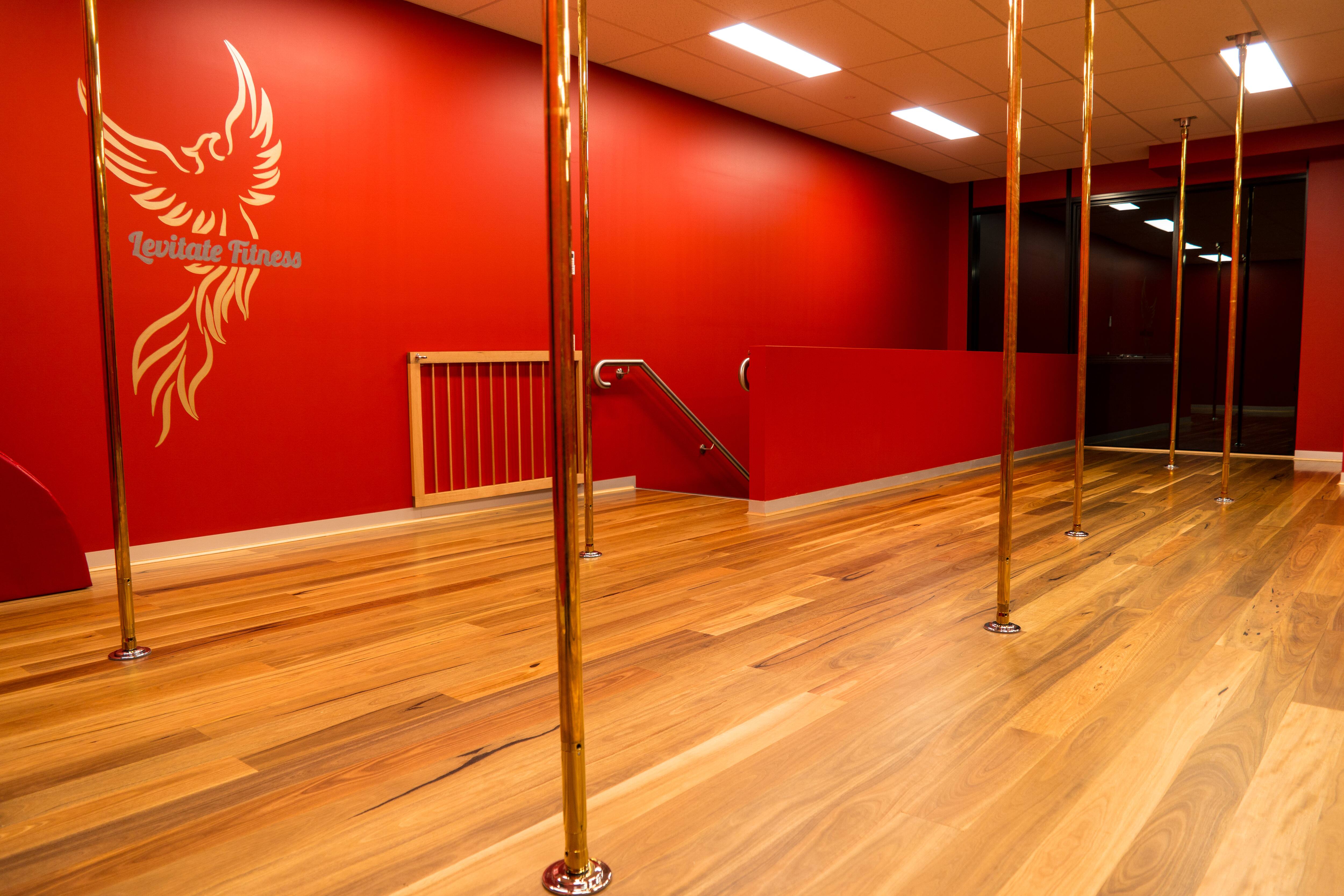 Levitate Fitness - Logo