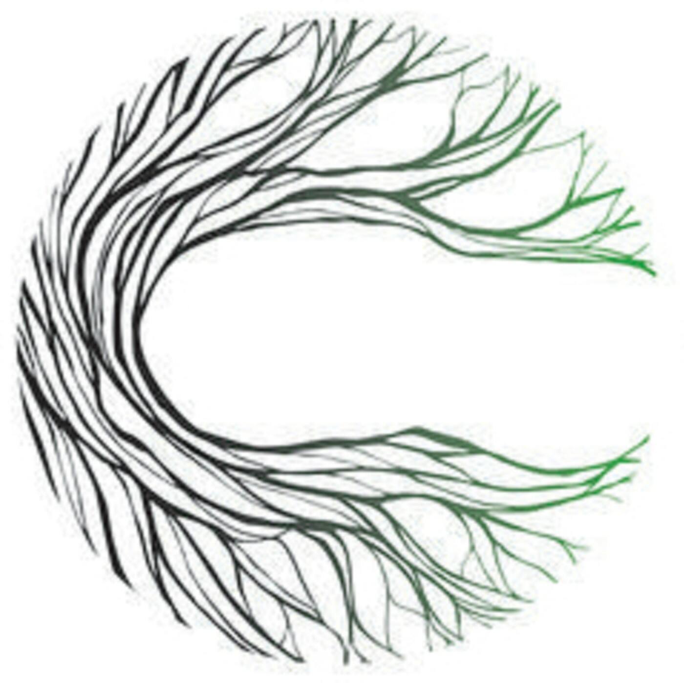 LHP Landscaping - Cover photo
