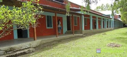 Liberal College - Logo