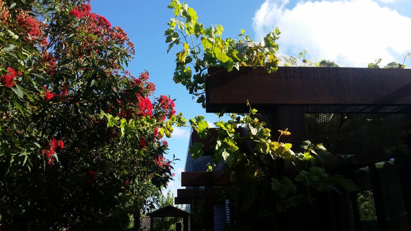 Libertas Gardens - Cover photo
