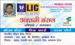 Lic Insurance Passport Agent 137732 - Logo