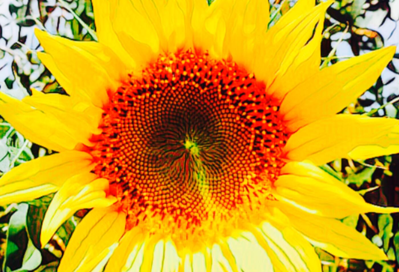 Light Kinesiology - Cover photo