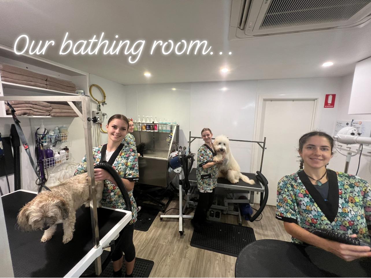 Limelight Pet Salon - Cover photo